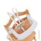 Hauck 3-in-1 Table Alpha Tray & 5-Point Harness Set